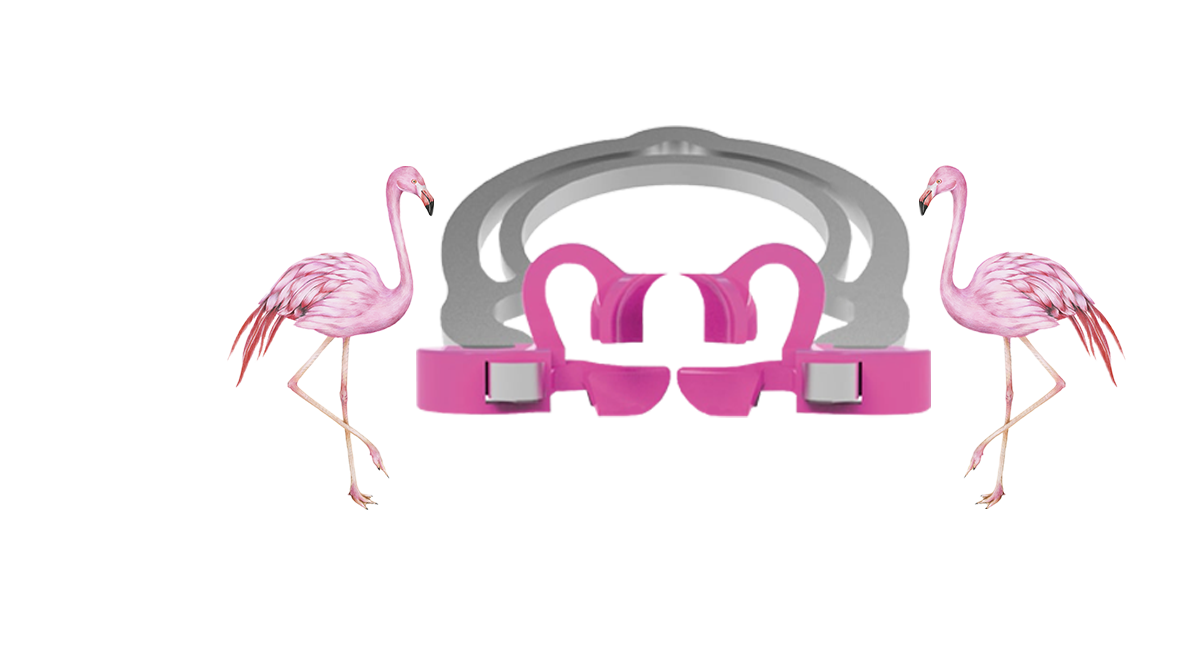Polydentia Flamingo