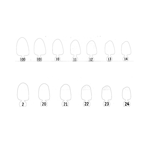 12-Polykarbonátové korunky 5ks 12-Polykarbonátové korunky 5ks