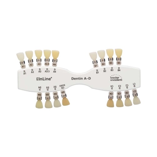 IPS InLine Dentin A-D 100g C2