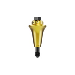 Multi-unit Abut Xeal NB N1 TCC NP 2.5mm
