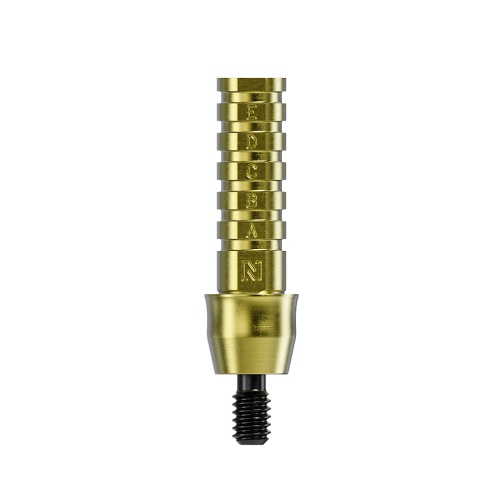 Temporary Abutment Non-Engaging CC WP 2.5mm O4.8