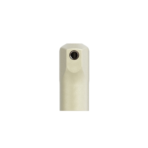 PoLo Nobel Biocare Multi-Unit Abutment 11mm