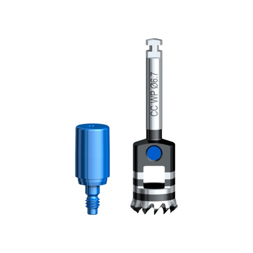 Bone Mill with Guide CC WP O6.7