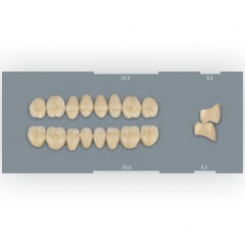 Vita zuby MFT 2L1,5 PU29 (B2) zadní horní 8ks