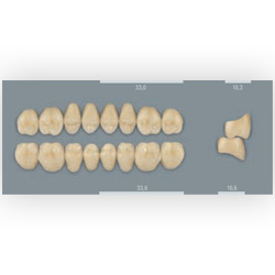 Vita zuby MFT 1M1 PL33 (B1) zadní dolní 8ks