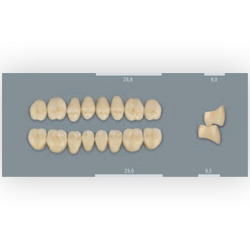 Vita zuby MFT 3L2,5 PL29 (B3) zadní dolní 8ks