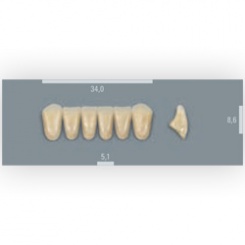 Vita zuby MFT 3M2 L34 (A3) přední dolní 6ks
