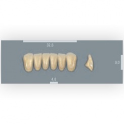 Vita zuby MFT 4M2 L33 (A4) přední dolní 6ks