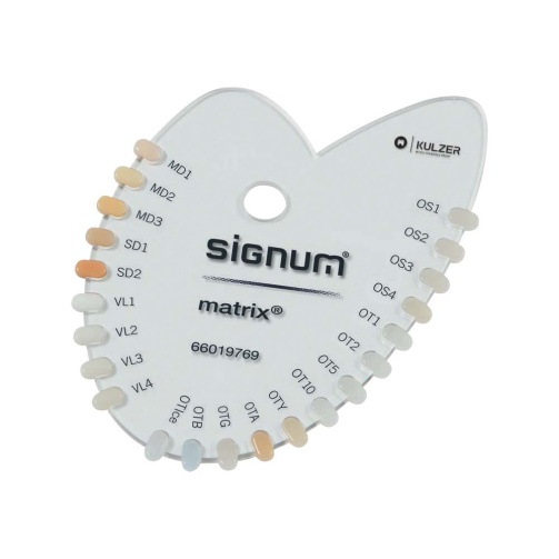 Signum Matrix opal transparent OT1 4g