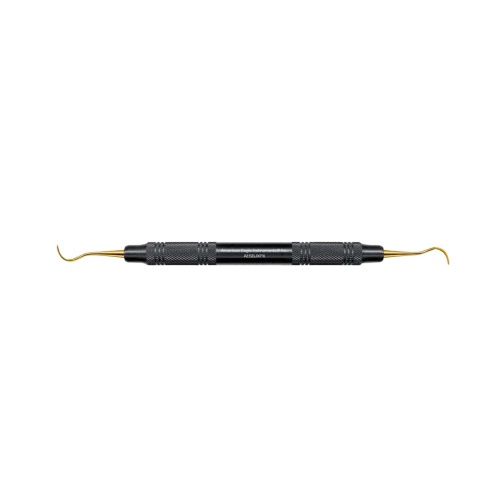 Scaler Blackjack XP