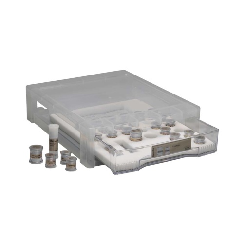 IPS Ivocolor Essence Kit