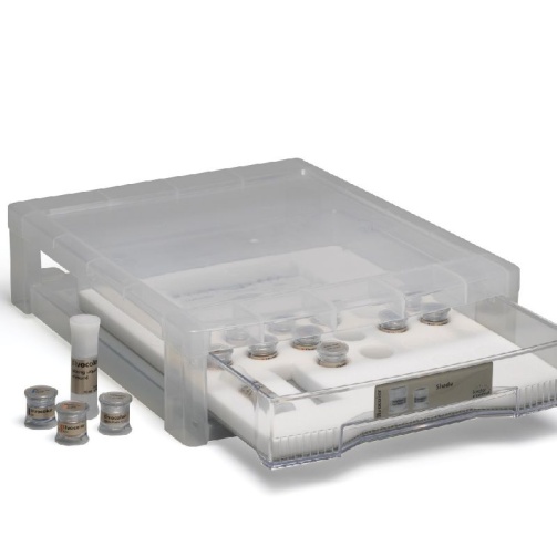 IPS Ivocolor Shade Kit