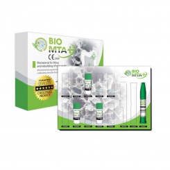 Bio MTA+ Mini 3x0,14g + 1ml