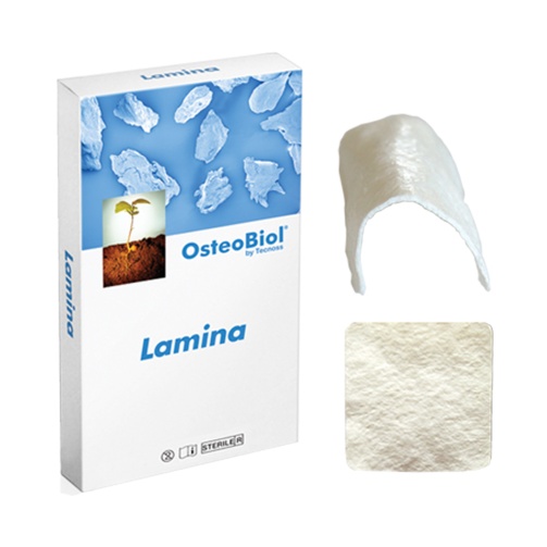 OsteoBiol Curved ( zakřivená) Lamina 1 Blister DRIED/MEDIUM 35x35x tlouštka 0,9 mm  (+-1 mm )Equine- koňská