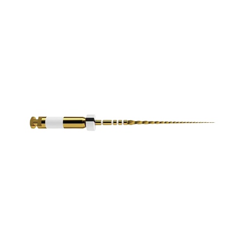 WaveOne Gold Glider sterile 31mm (6ks)