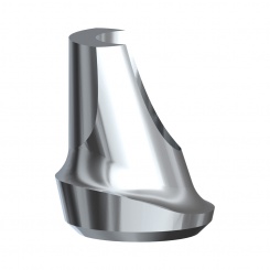 15° Esthetic Abutment Bmk Syst WP 1mm