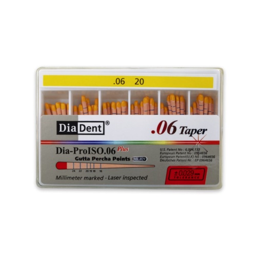 DiaDent GP čepy 020/.06 60ks kalibrované
