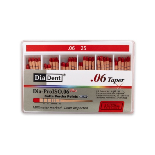 DiaDent GP čepy 025/.06 60ks kalibrované