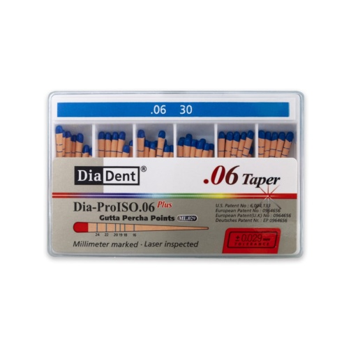 DiaDent GP čepy 030/.06 60ks kalibrované