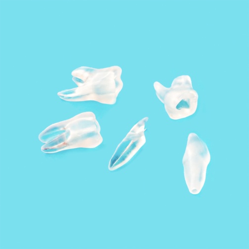 MTA Training tooth první molár 3623-101 PCL